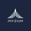 Avatar of Payzium