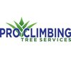 Avatar of Pro Climbing Tree Services
