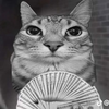 Avatar of sketchwatcher