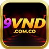 Avatar of 9vndcomco