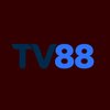 Avatar of tv88ac