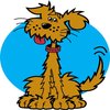 Avatar of dexgeo