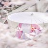 Avatar of littleflower99