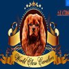 Avatar of World Class Cavaliers LLC