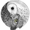 Avatar of Dectun