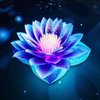 Avatar of Kyla.Lam