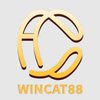 Avatar of CAT88