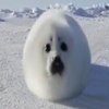 Avatar of ghostwlex8012