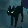Avatar of pbuttercup