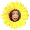 Avatar of Isabel Sun