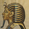 Avatar of champsteph