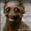 Avatar of BANHMIBIGC