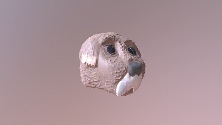 Dog Head Painted 3D Model