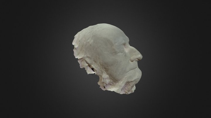 Death Mask 3D Model