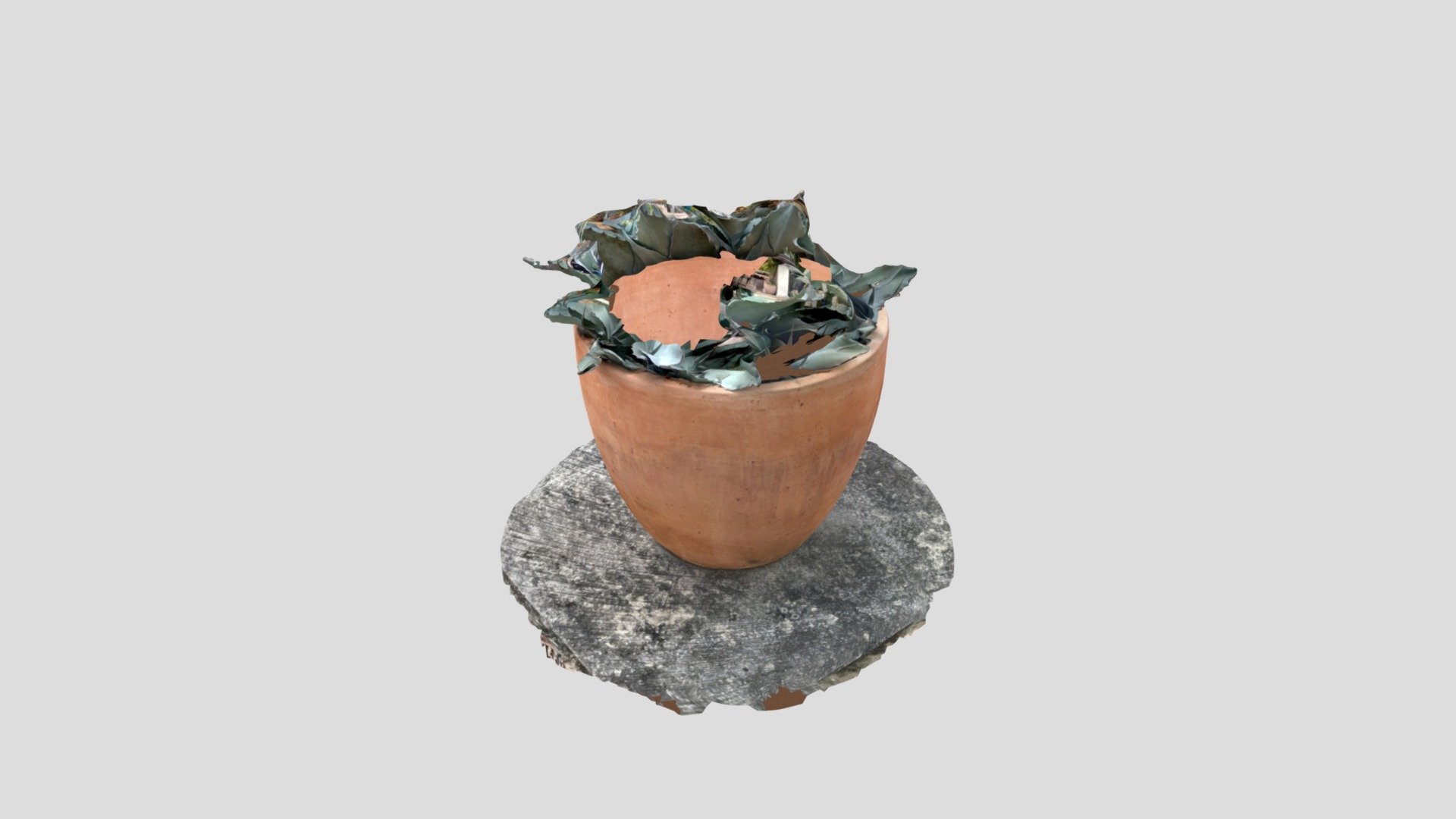 pot