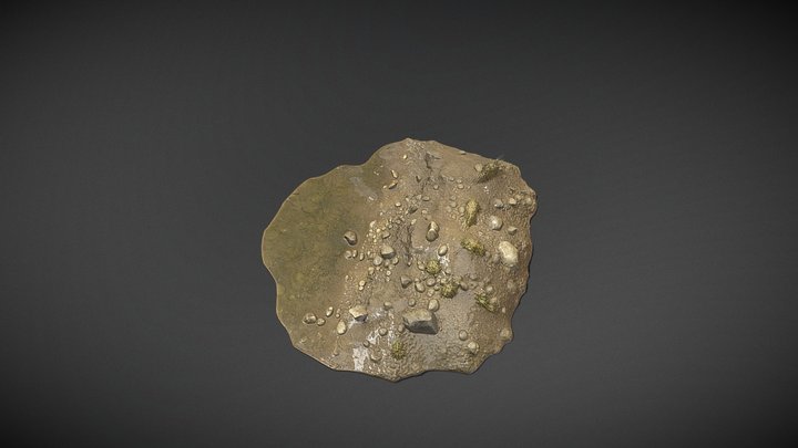 Riverbank Terrain Patch