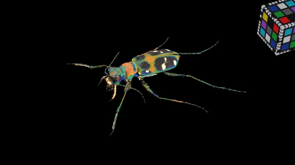 Creatures - A 3D model collection by Truneps - Sketchfab