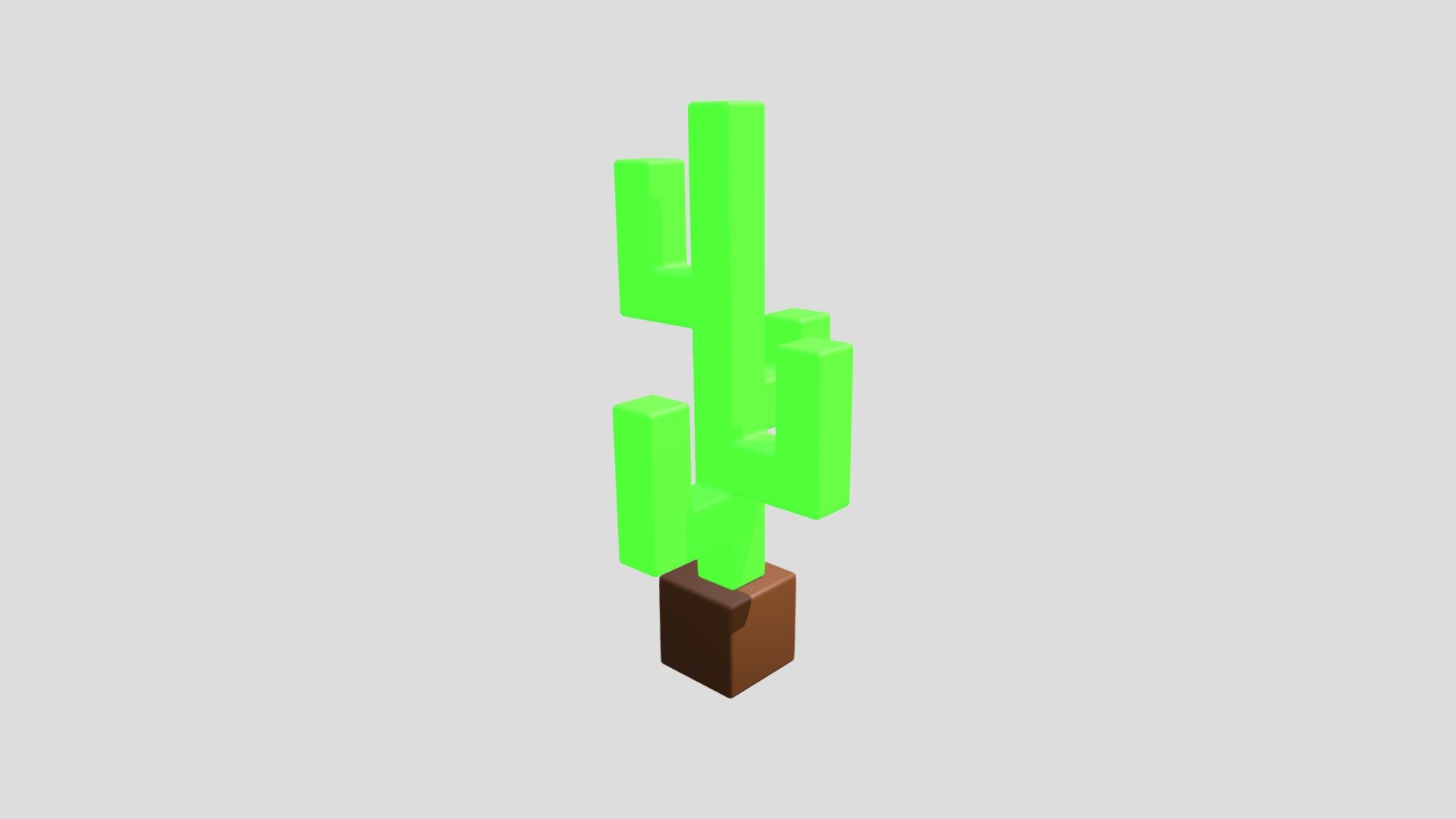 Catus