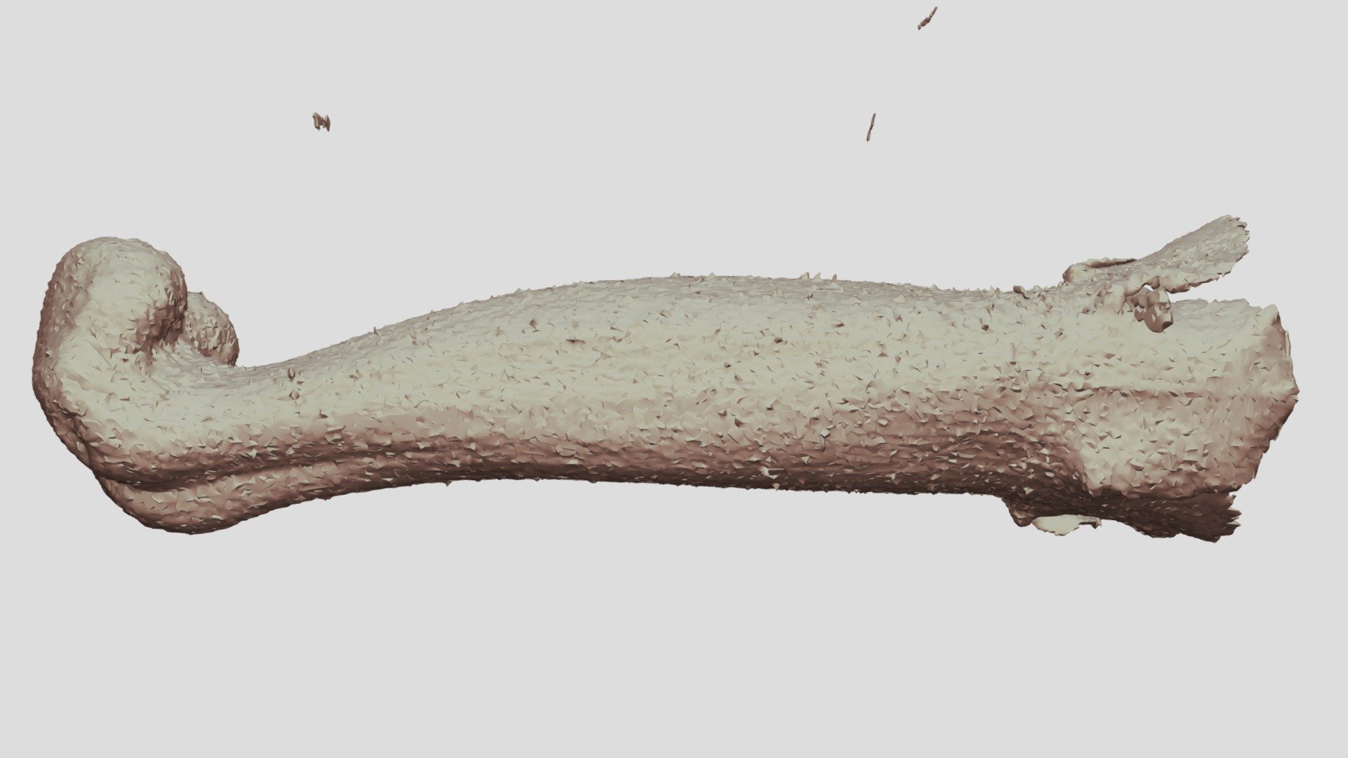 Sinningia aggregata