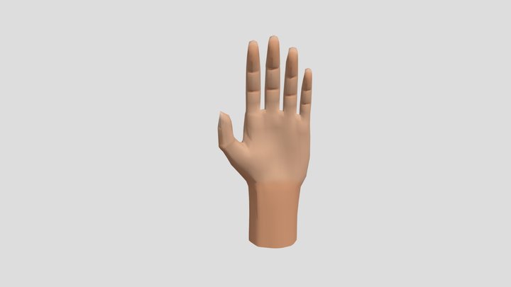 Low Poly Hand 3D Model