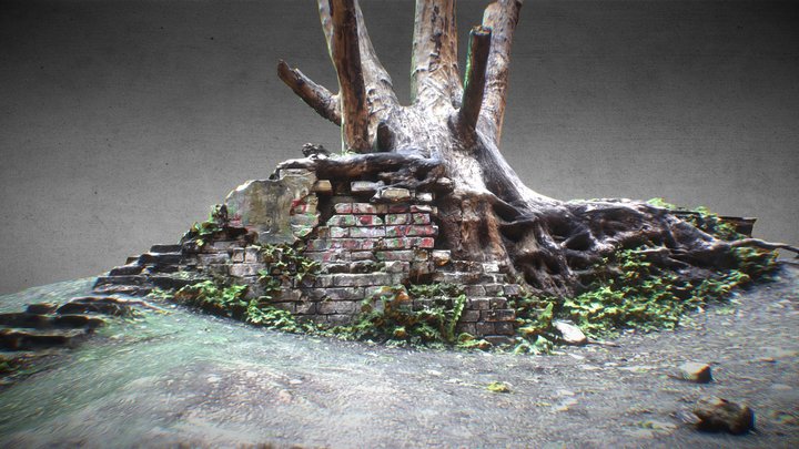Tree, Roots and Brick Destruction 3D Model