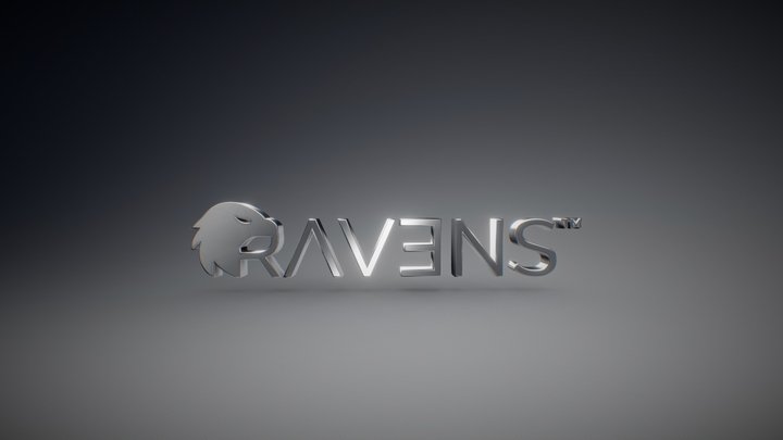 ravens.com.br 3D Model