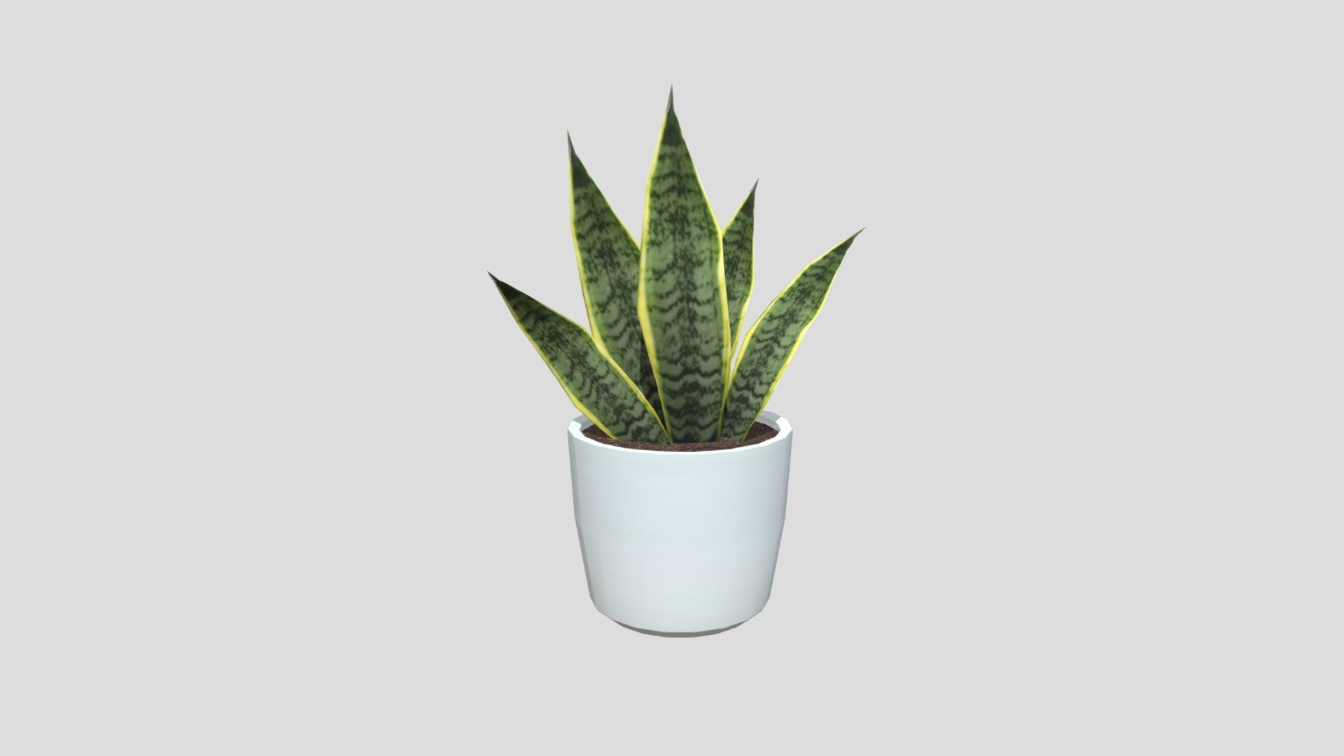 Plant