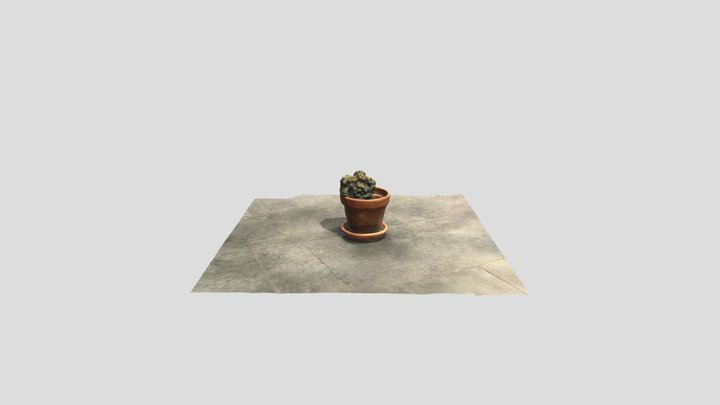 Metascan 1 3D Model