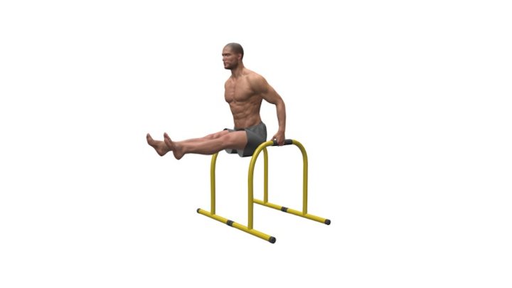Lebert Straight Leg Dips 3D Model