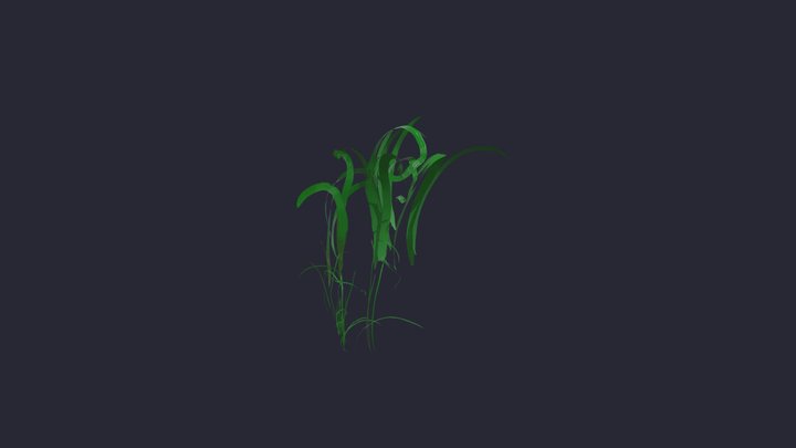 Grass Patch different sizes