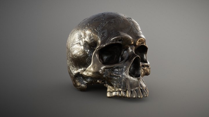 brecha llevar a cabo ganado Skull 3D models - Sketchfab