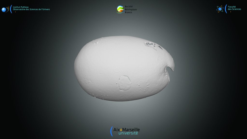 Ostracode - valve droite de V.hilgendorfii