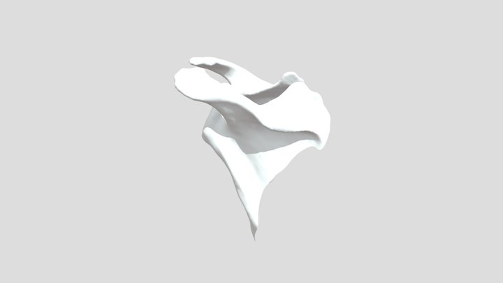 EXO SKELETON SHOULDER BLADES COSTUME 3D Model