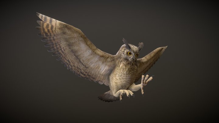 GREAT HORNED OWL ANIMATIONS 3D Model