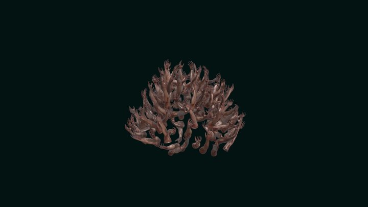 Hands Animation - Sublime Viscera 3D Model