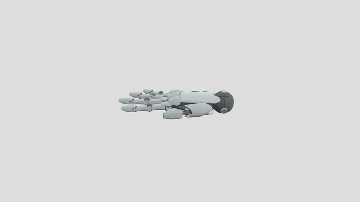 CARRY_FPS 3D Model