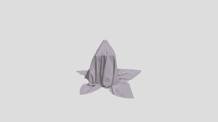 Blanket_over_rubble 3D Model