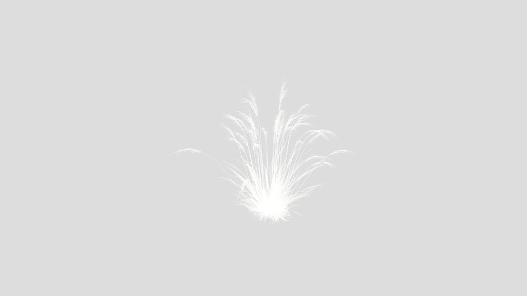 Grass Molinia Caerulea