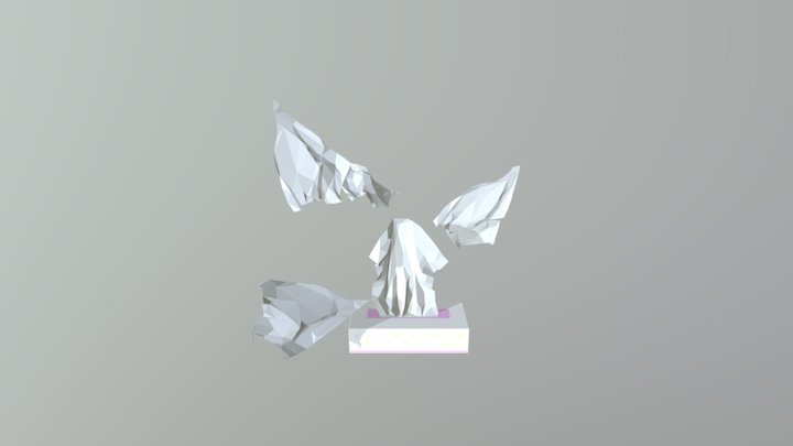 Tissue 3D Model