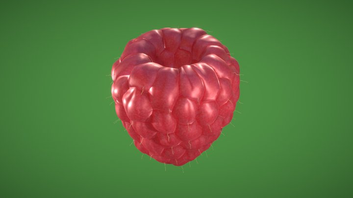 Raspberry – Free 3D Model STL