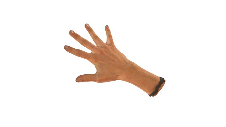 Hand (weiblich) Scan - 1 3D Model