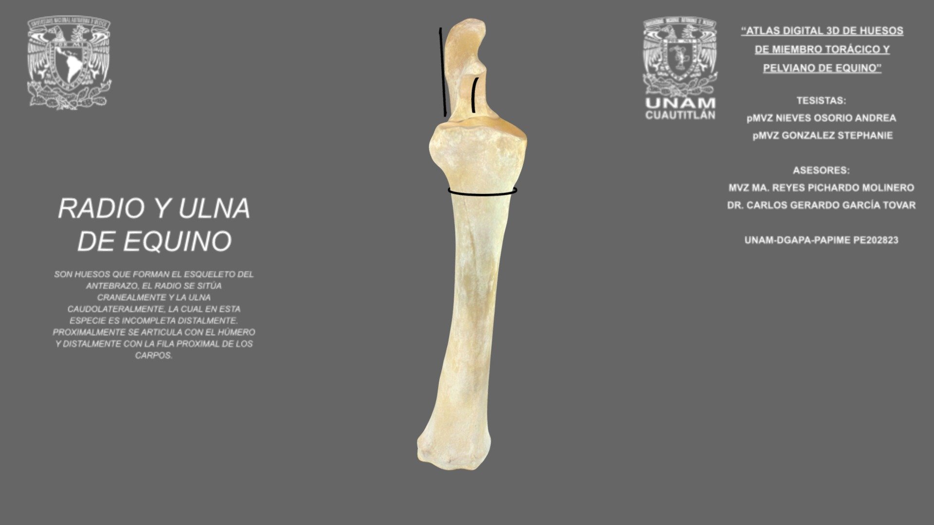 Cassettiera Alexandra House Living Marrone Legno di pino Legno MDF 93 x 37 x 47 cm main image 0