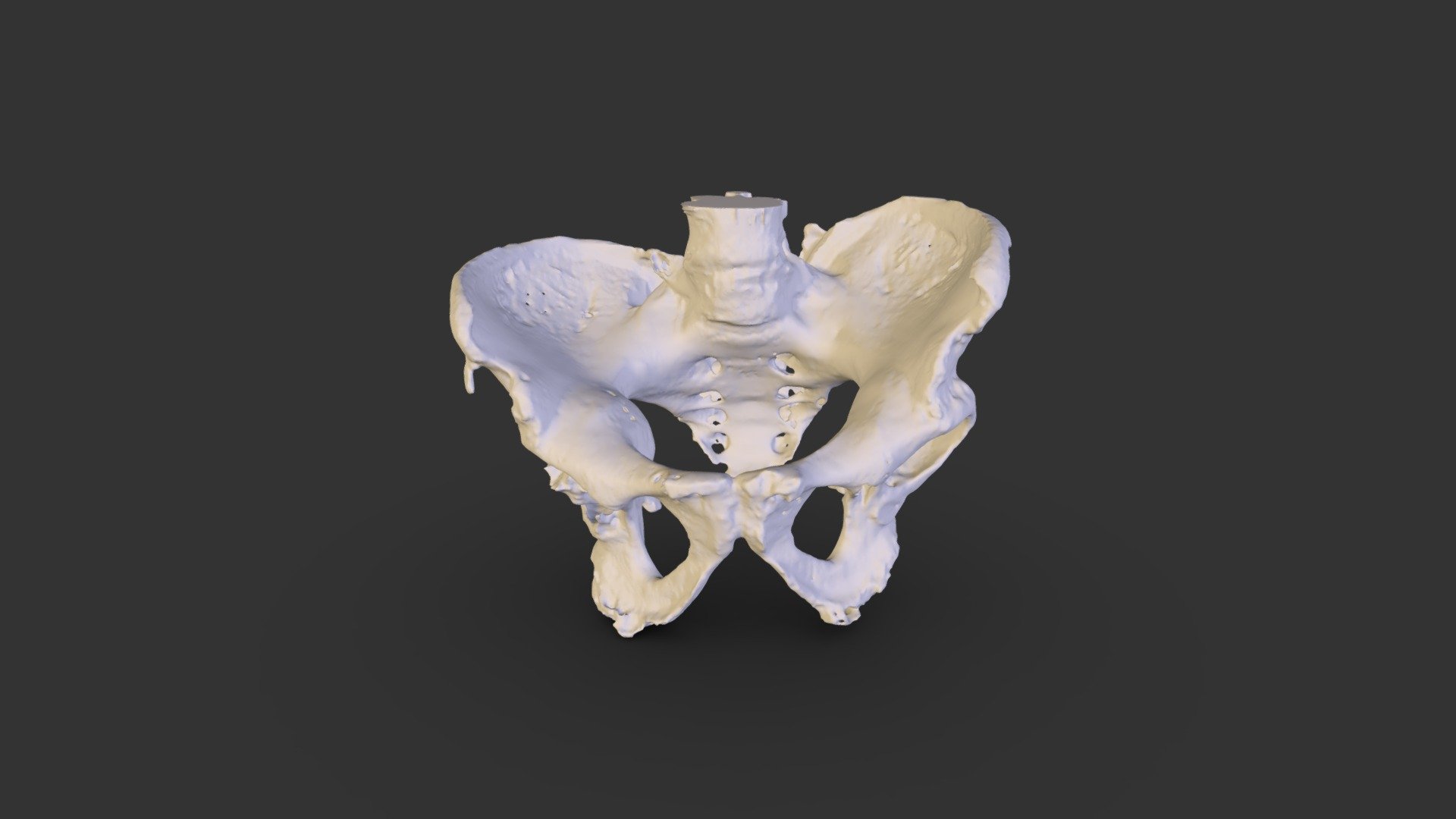 GENG HONG LIANG Bone 002 - 3D model by anxiaoning [0038986] - Sketchfab