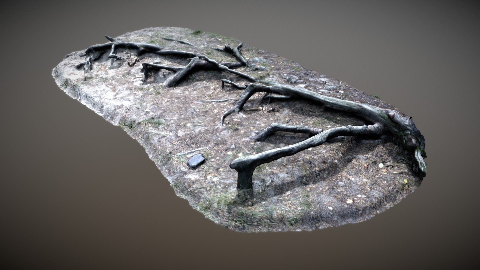 3D model Nature Forest Roots 002 - This is a 3D model of the Nature Forest Roots 002. The 3D model is about a close-up of a rock.