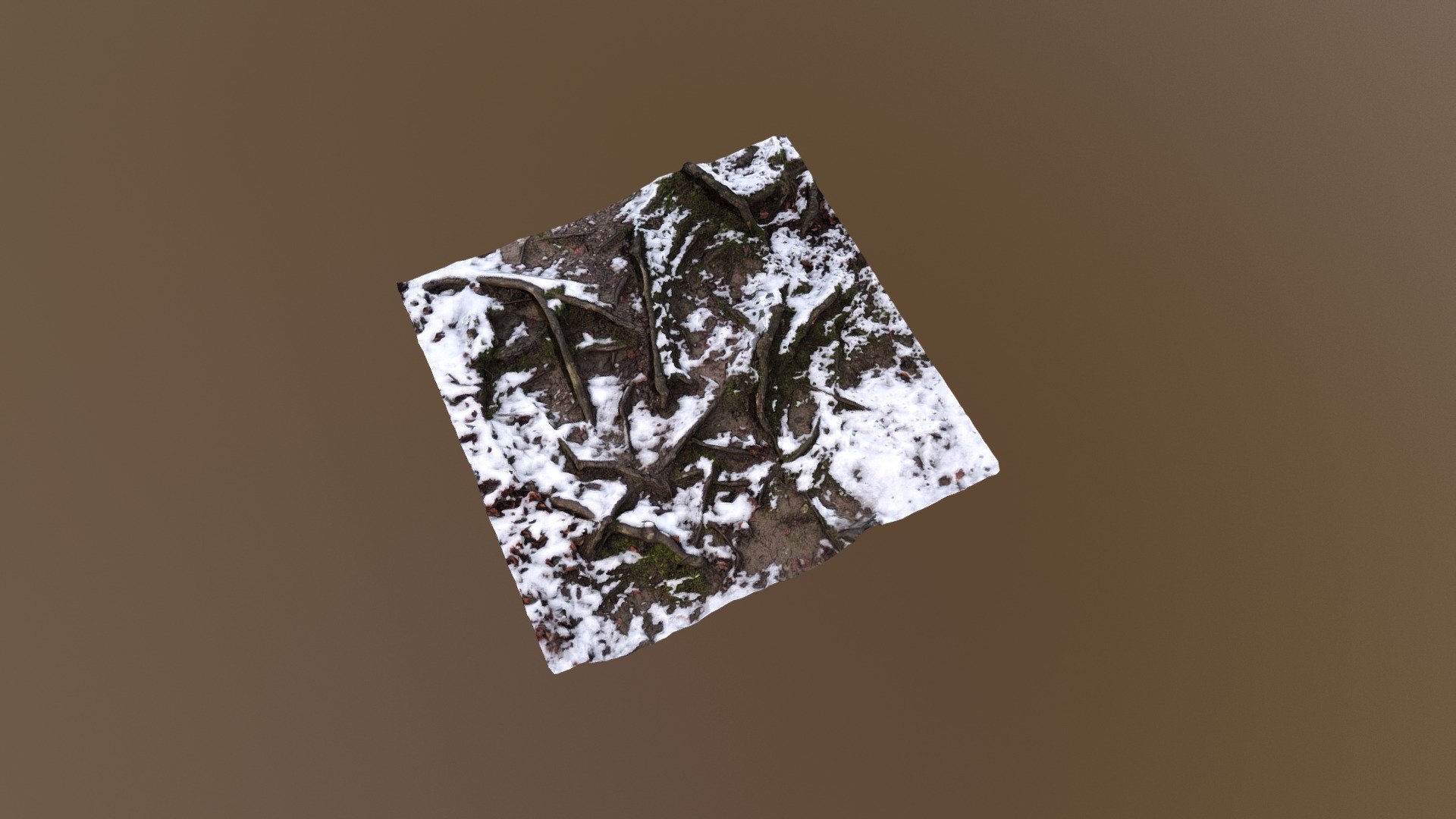 Snowy forest floor