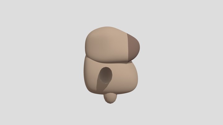 model base 3D Model