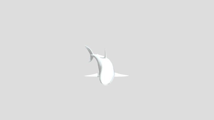 White Shark 3D Model