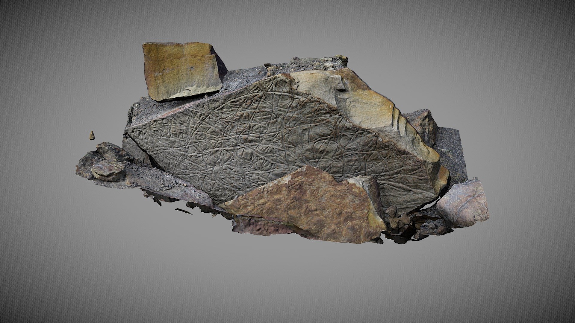 Trace Fossil