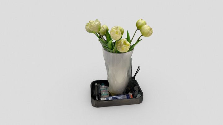 Essai vase sur table 3D Model