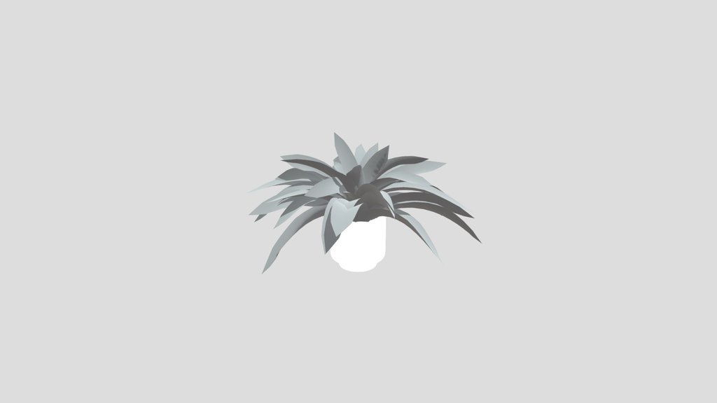 Tropical Fern Med Pot